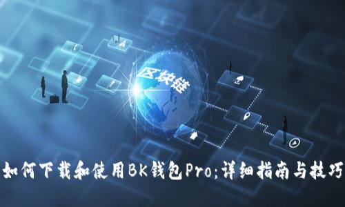 如何下载和使用BK钱包Pro：详细指南与技巧