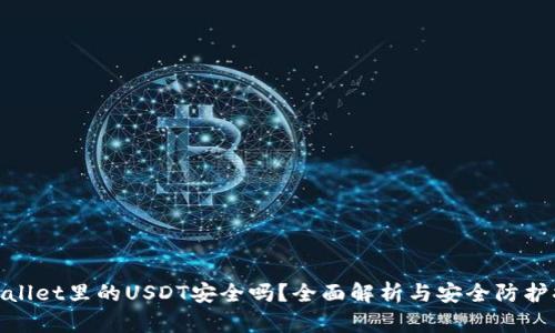 tpWallet里的USDT安全吗？全面解析与安全防护措施