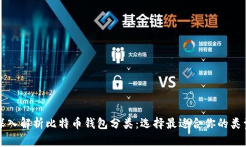 深入解析比特币钱包分类:选择最适合你的类型