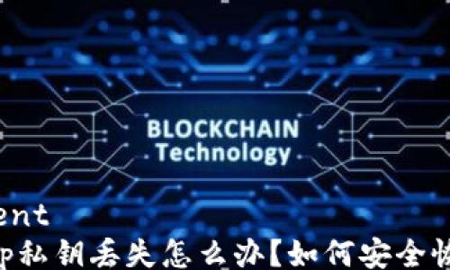 
document
BitKeep私钥丢失怎么办？如何安全恢复资产