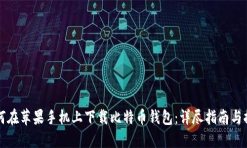 如何在苹果手机上下载比特币钱包:详尽指南与推荐