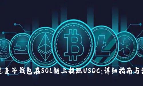 如何通过麦子钱包在SOL链上提现USDC：详细指南与注意事项