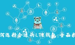 如何选择合适的LTC钱包:全面指南