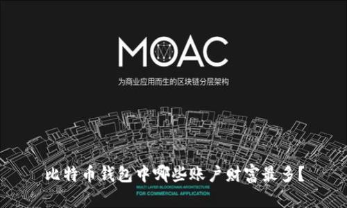 比特币钱包中哪些账户财富最多?
