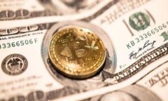 全面解析比特币安卓钱包的使用指南与安全注意