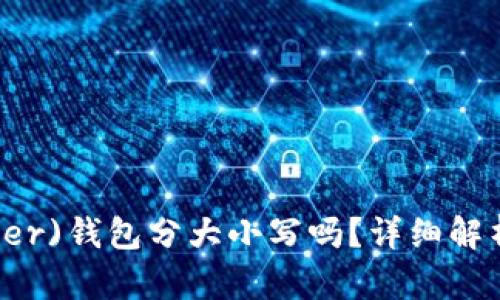 泰达币(Tether)钱包分大小写吗?详细解析与使用指南