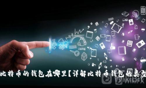 一般存比特币的钱包在哪里?详解比特币钱包的类型与选择