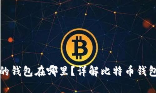 一般存比特币的钱包在哪里?详解比特币钱包的类型与选择