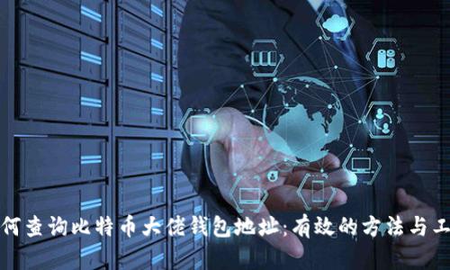 如何查询比特币大佬钱包地址:有效的方法与工具