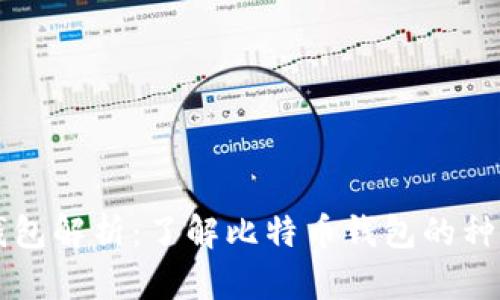 比特币钱包解析:了解比特币钱包的种类与功能