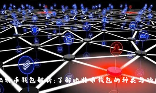 比特币钱包解析:了解比特币钱包的种类与功能