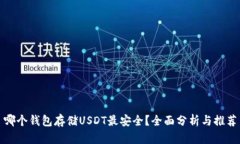 哪个钱包存储USDT最安全?全面分析与推荐
